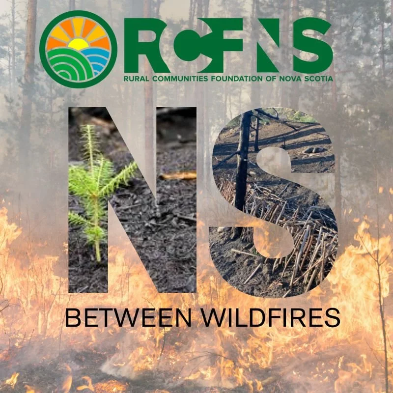 Wildfire Recovery in Nova Scotia: Honouring Complexity, People, and Place 