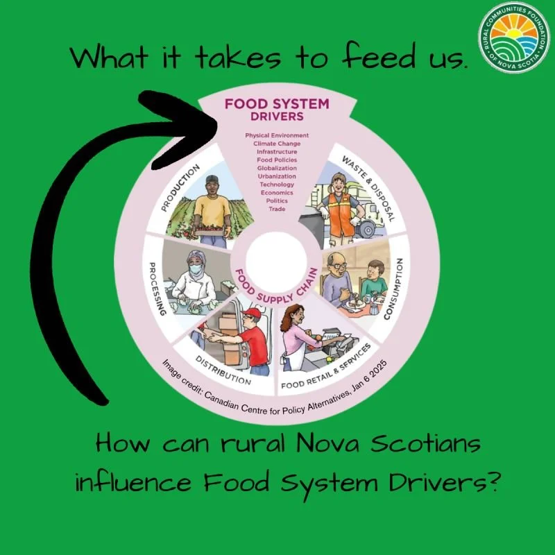 Nourishing Nova Scotia: Local Solutions