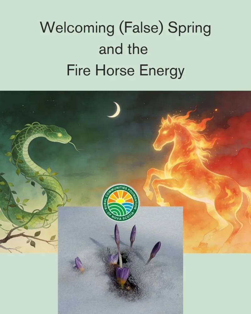 Welcoming (False) Spring and the Fire Horse Energy