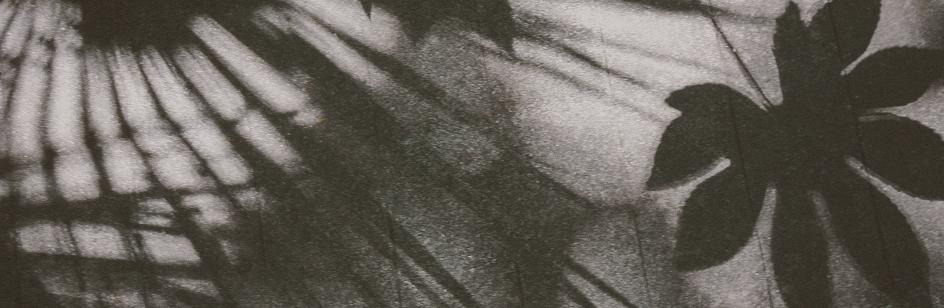 foliage-shadows.png