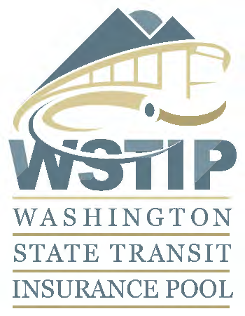 WSTIP logo 2.png