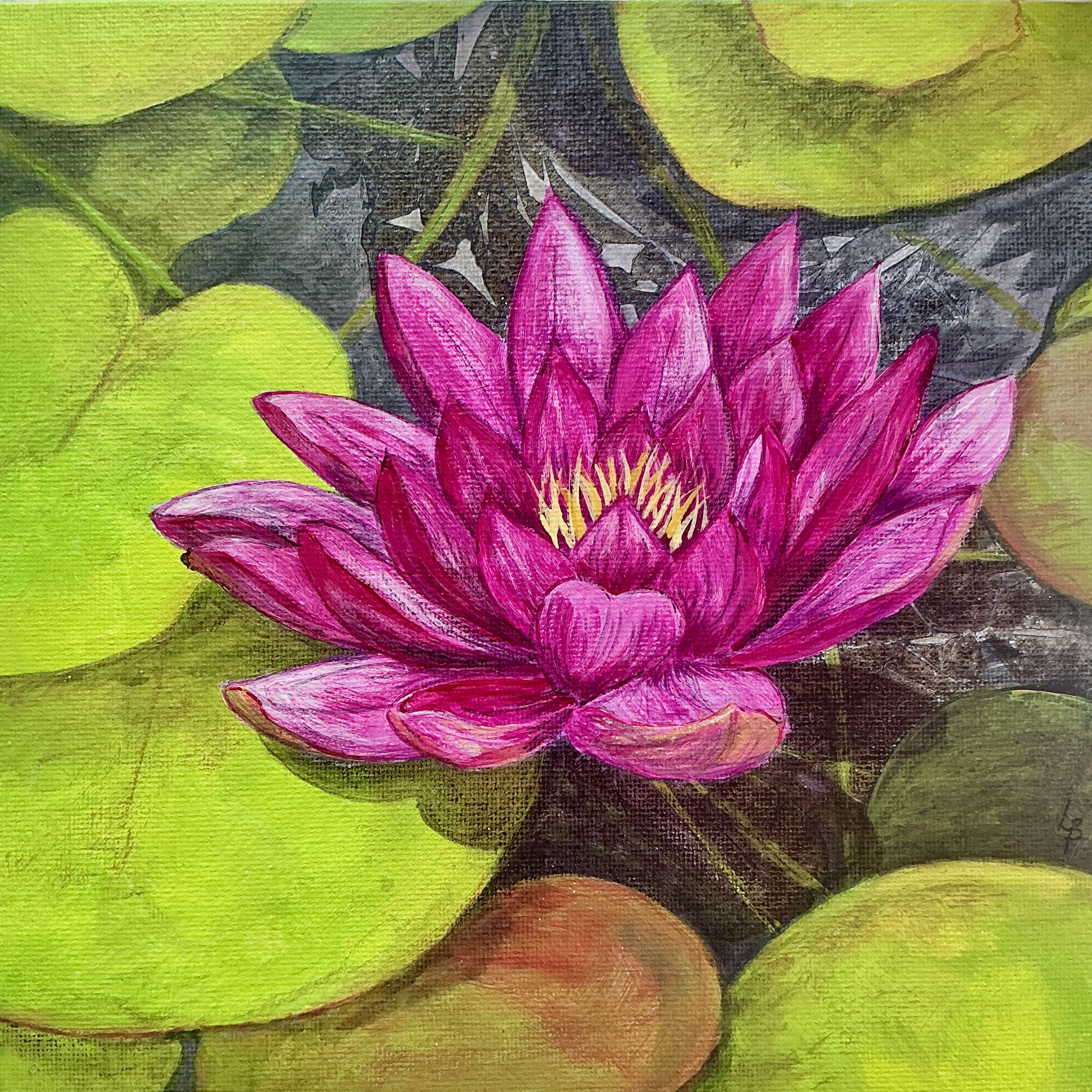 Waterlily.jpeg