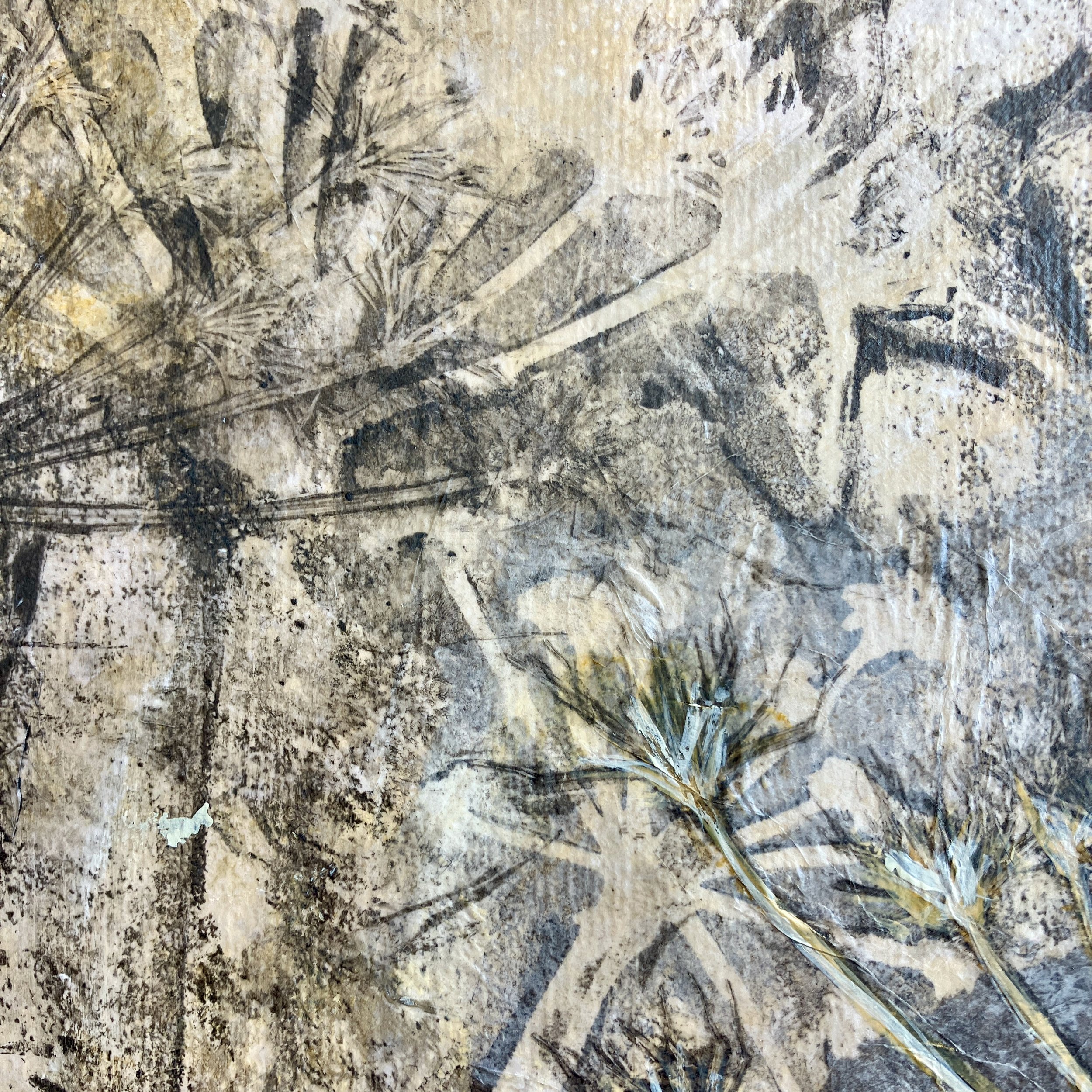Shadow Play 3 (detail 2).jpeg