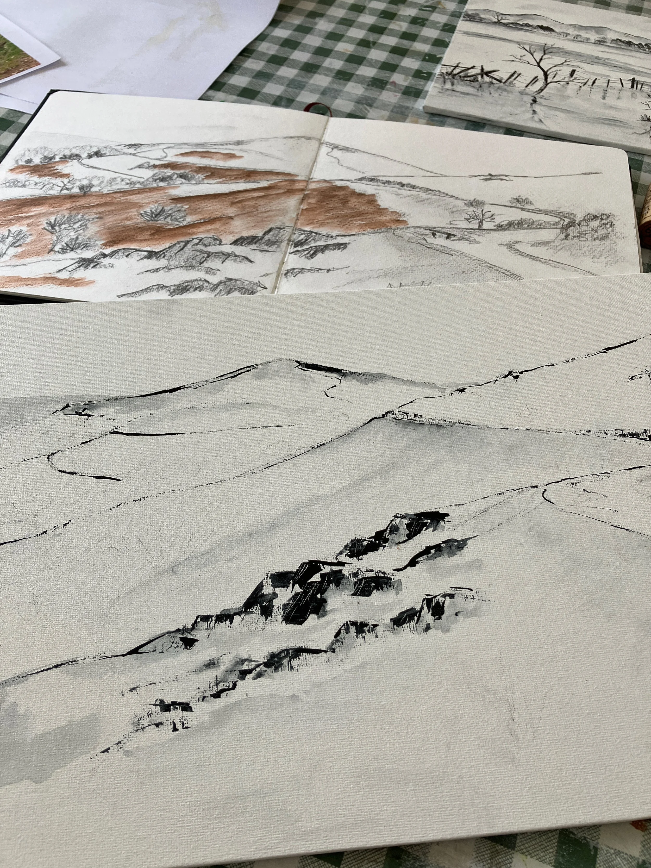 Following the Contour (WIP 1).jpeg