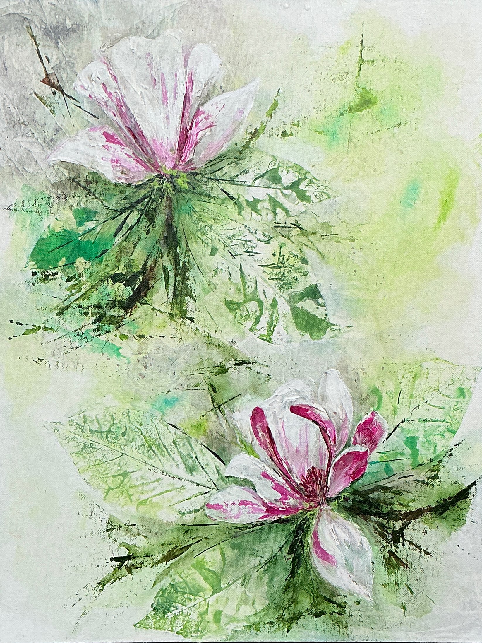 Magnolias.jpeg