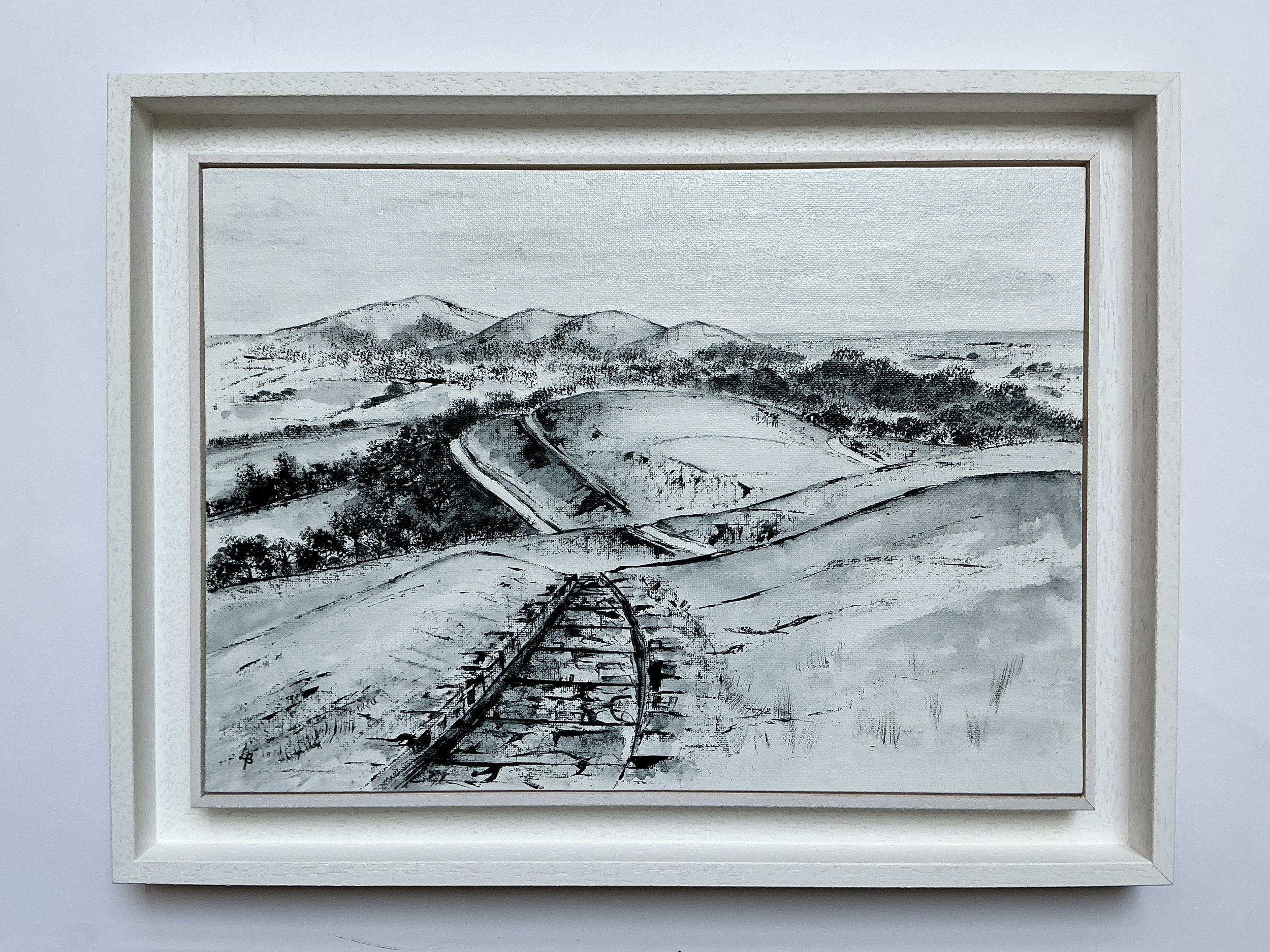 From British Camp (framed).jpeg