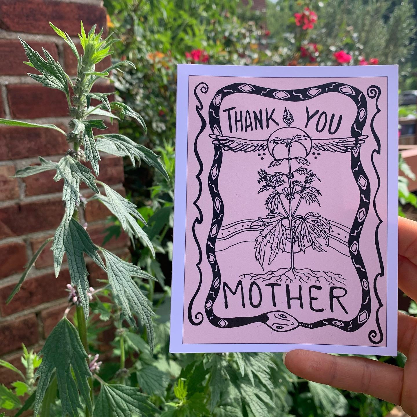 Thanks to all the human and plant Mama&rsquo;s! 🩷🫛🌺🌿
Place your order before tomorrow eve to get your cards before Mothers Day this weekend.

Choose between:
🫛Sugar Snap Mama
&amp;
🌿Thank you Mother Motherwort

Message me to order$ *4  each
-
-