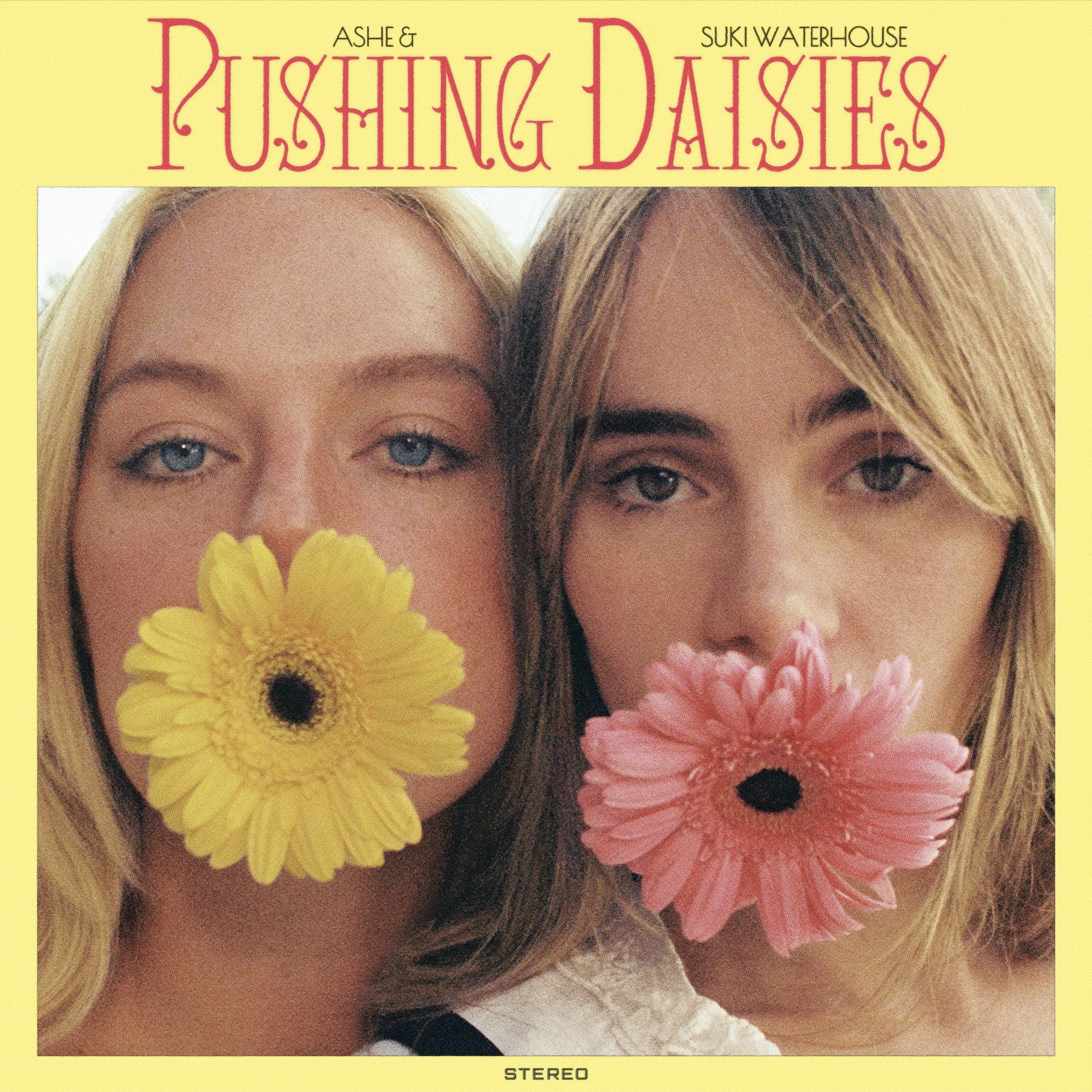 pushing daisies cover.jpg