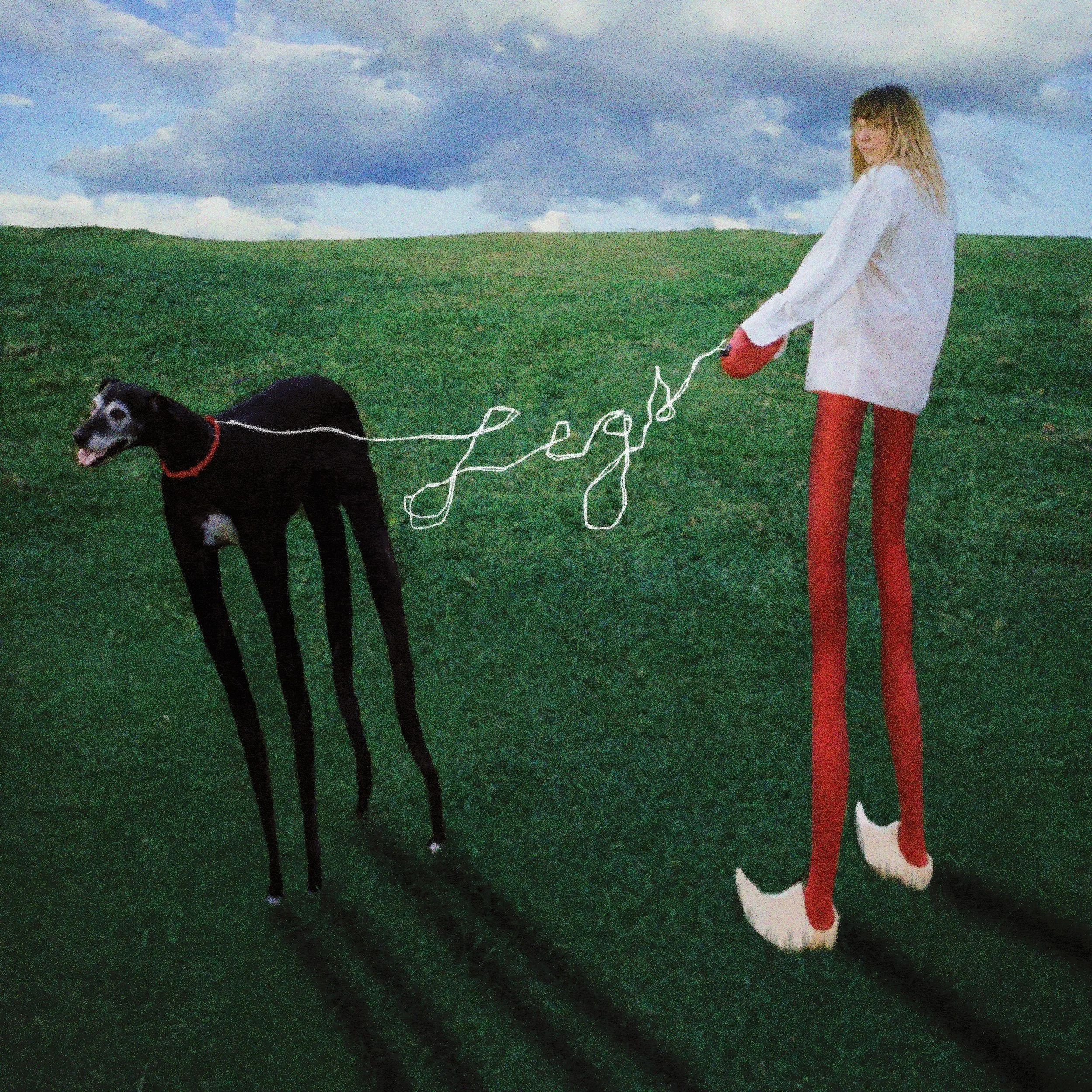 annie legs final cover art.jpg