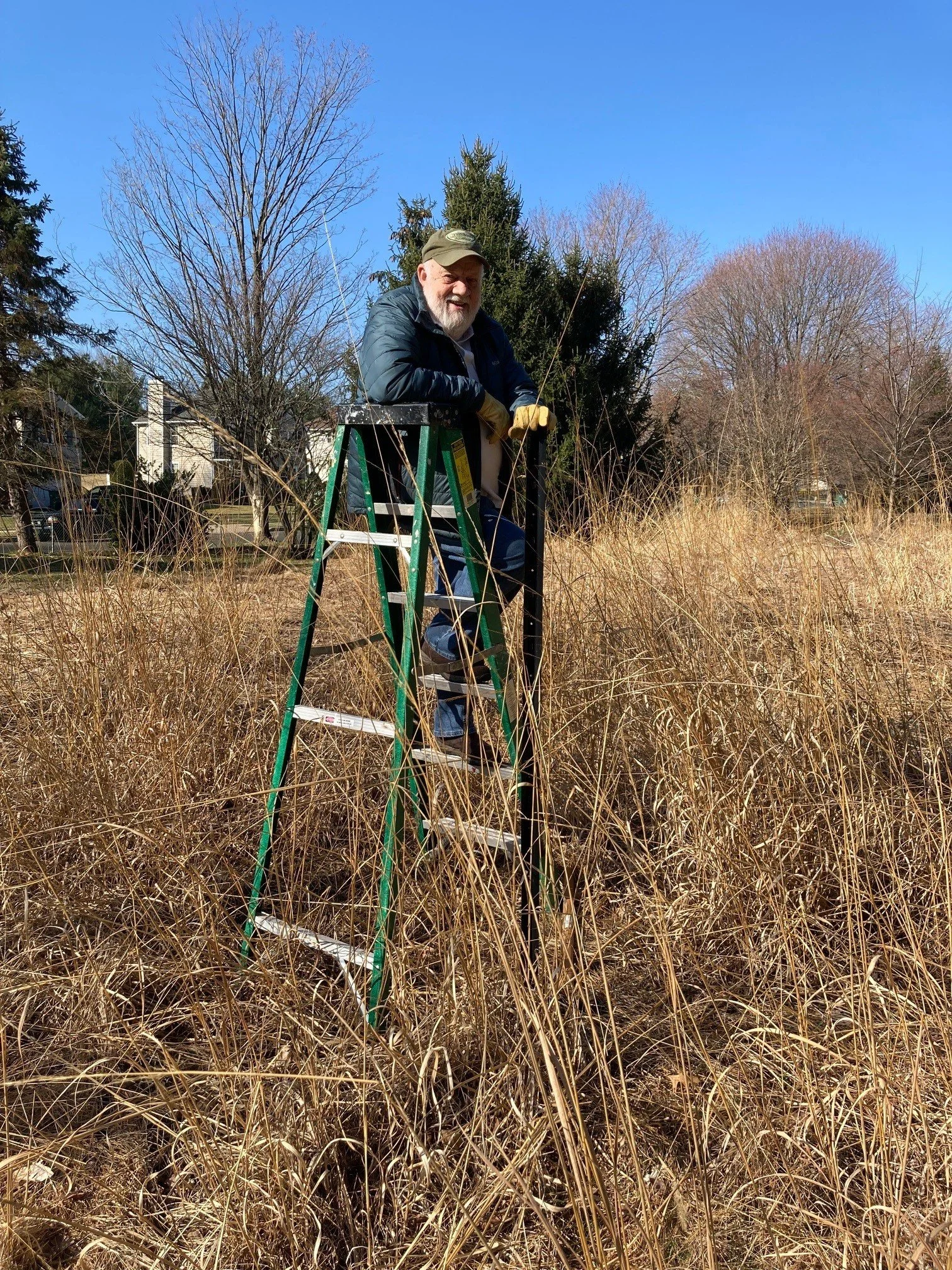 An Introduction to the Native Plant Project