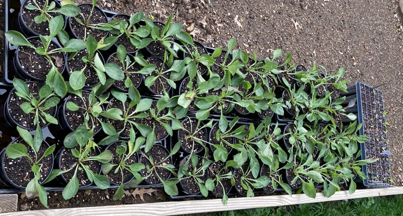 A Mother’s Day Update