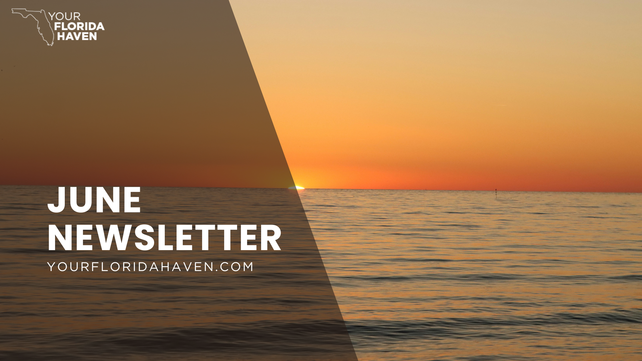 June 2026 Newsletter