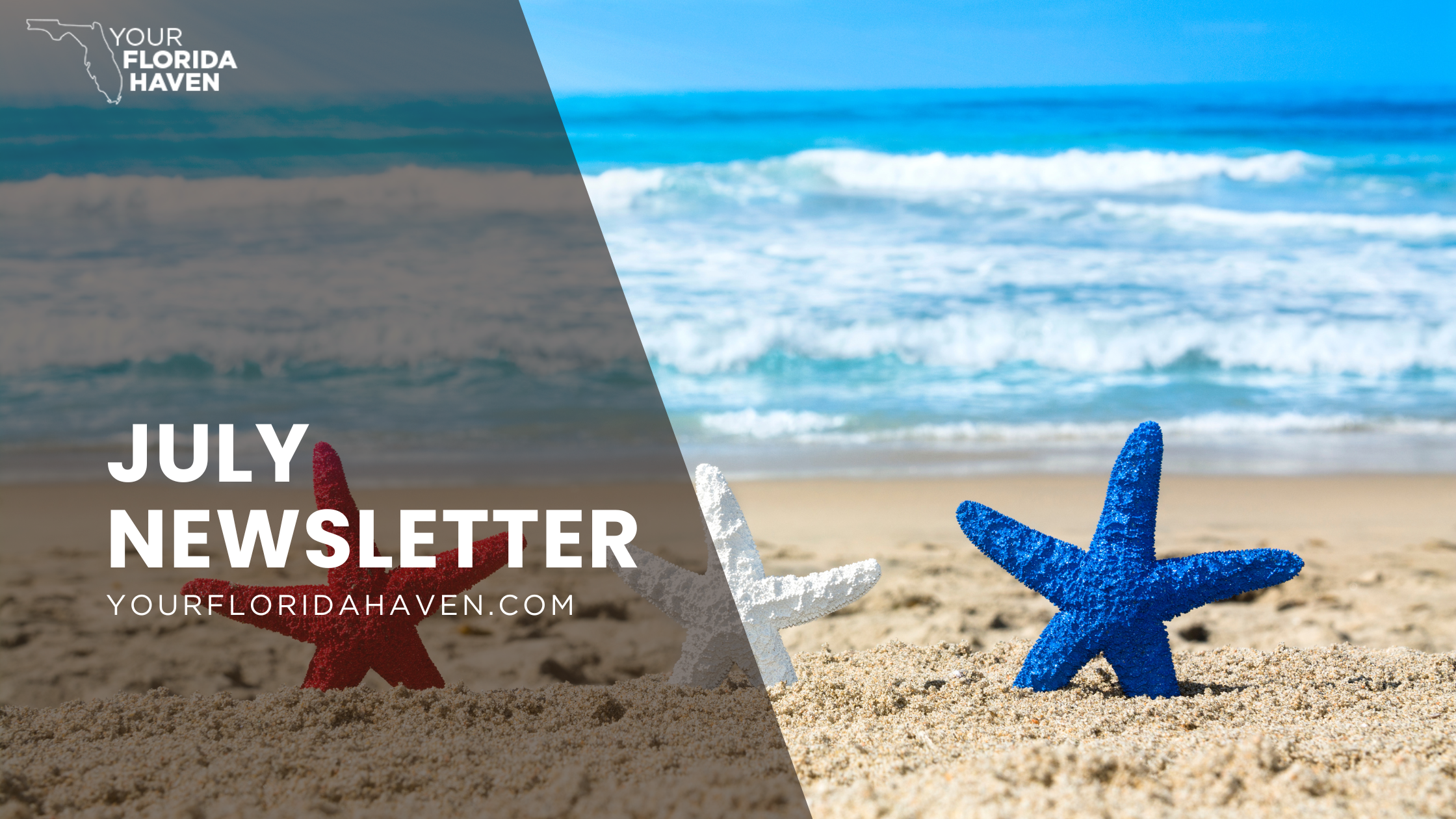 July 2026 Newsletter