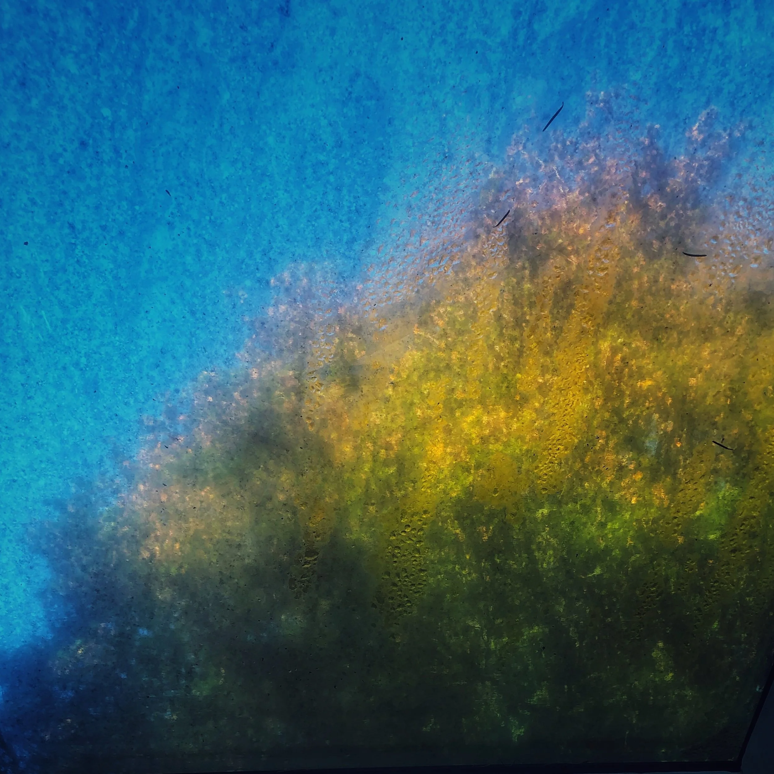 Rockland Skylight .JPG