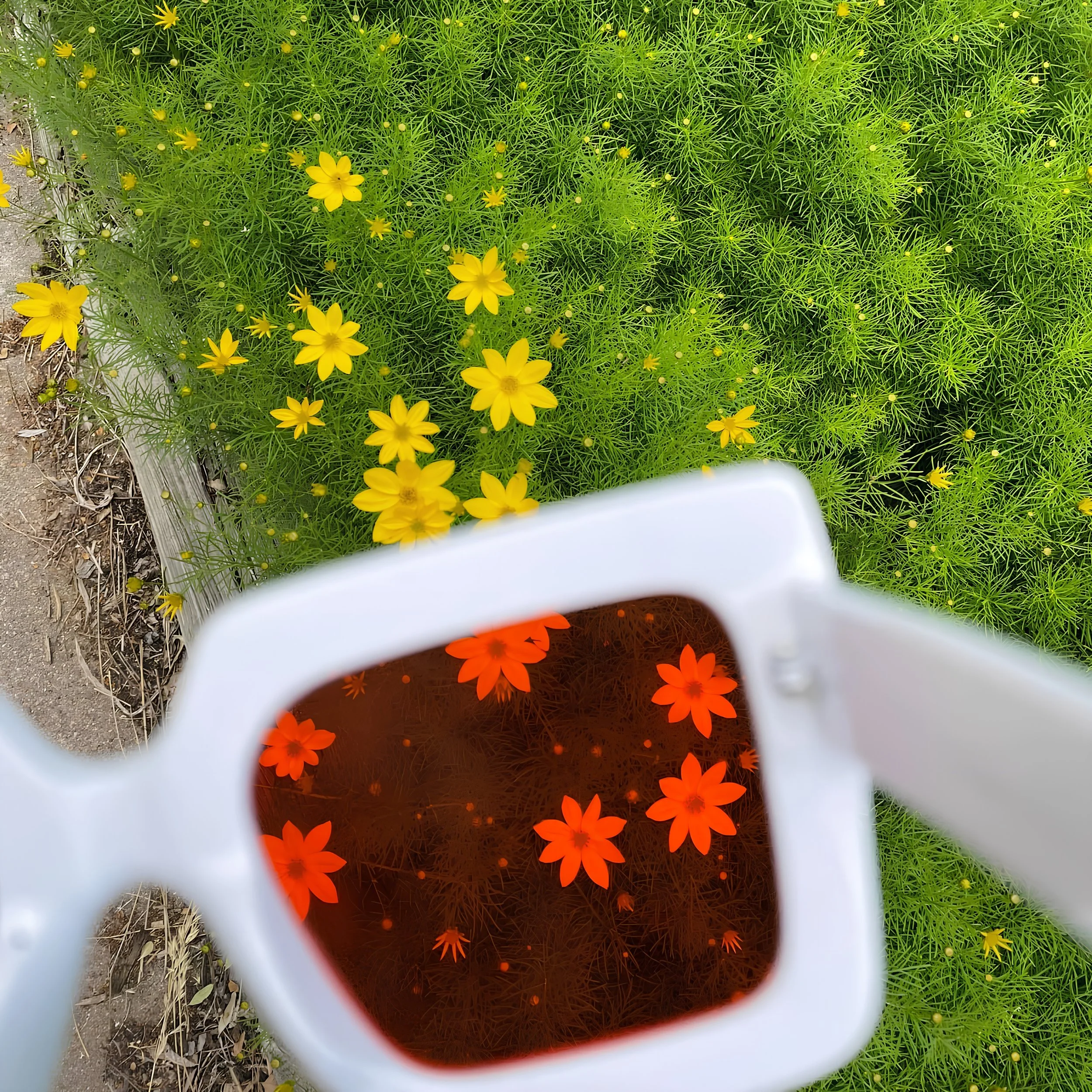 Lessons from a Cloud