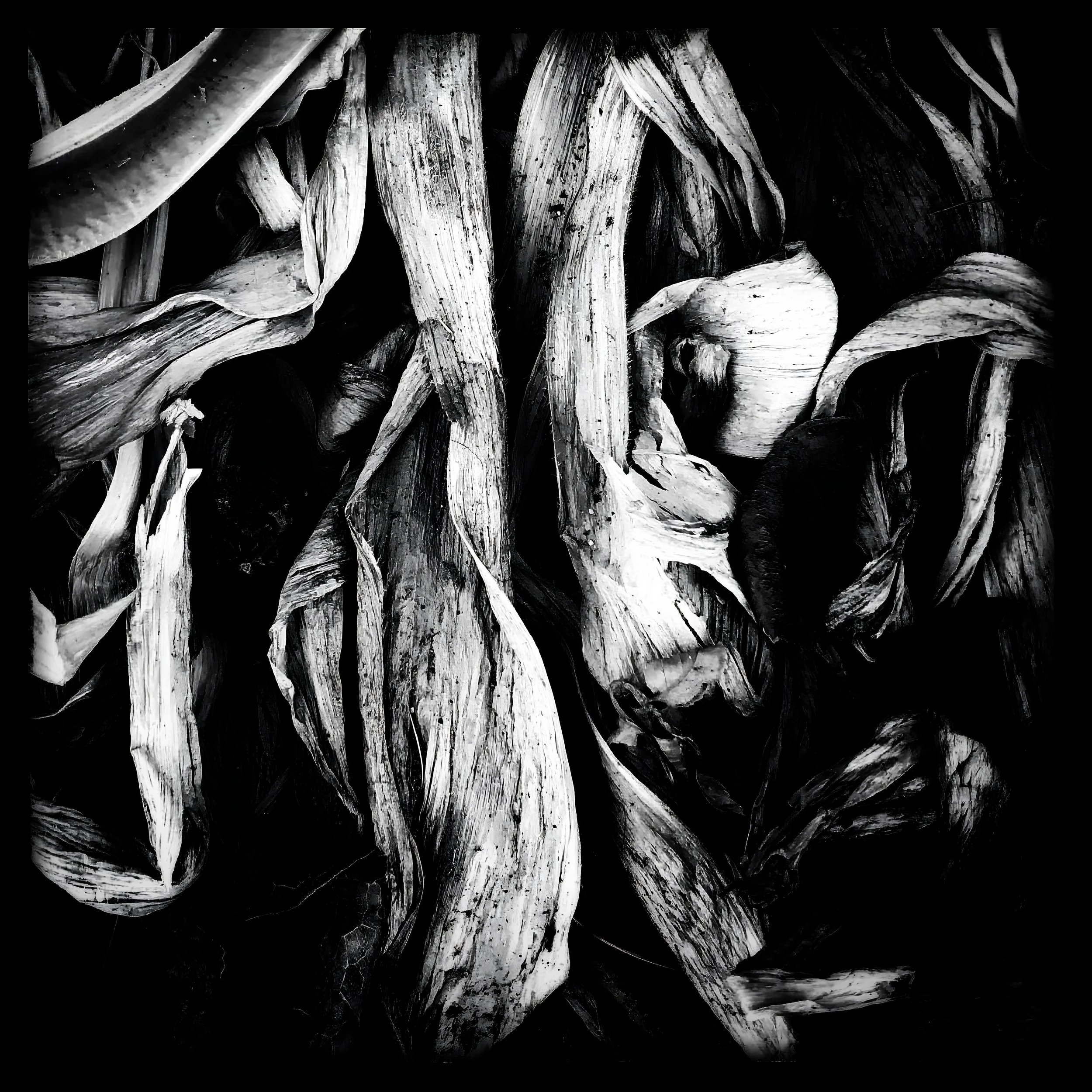 Winter Dryness Pattern.JPG