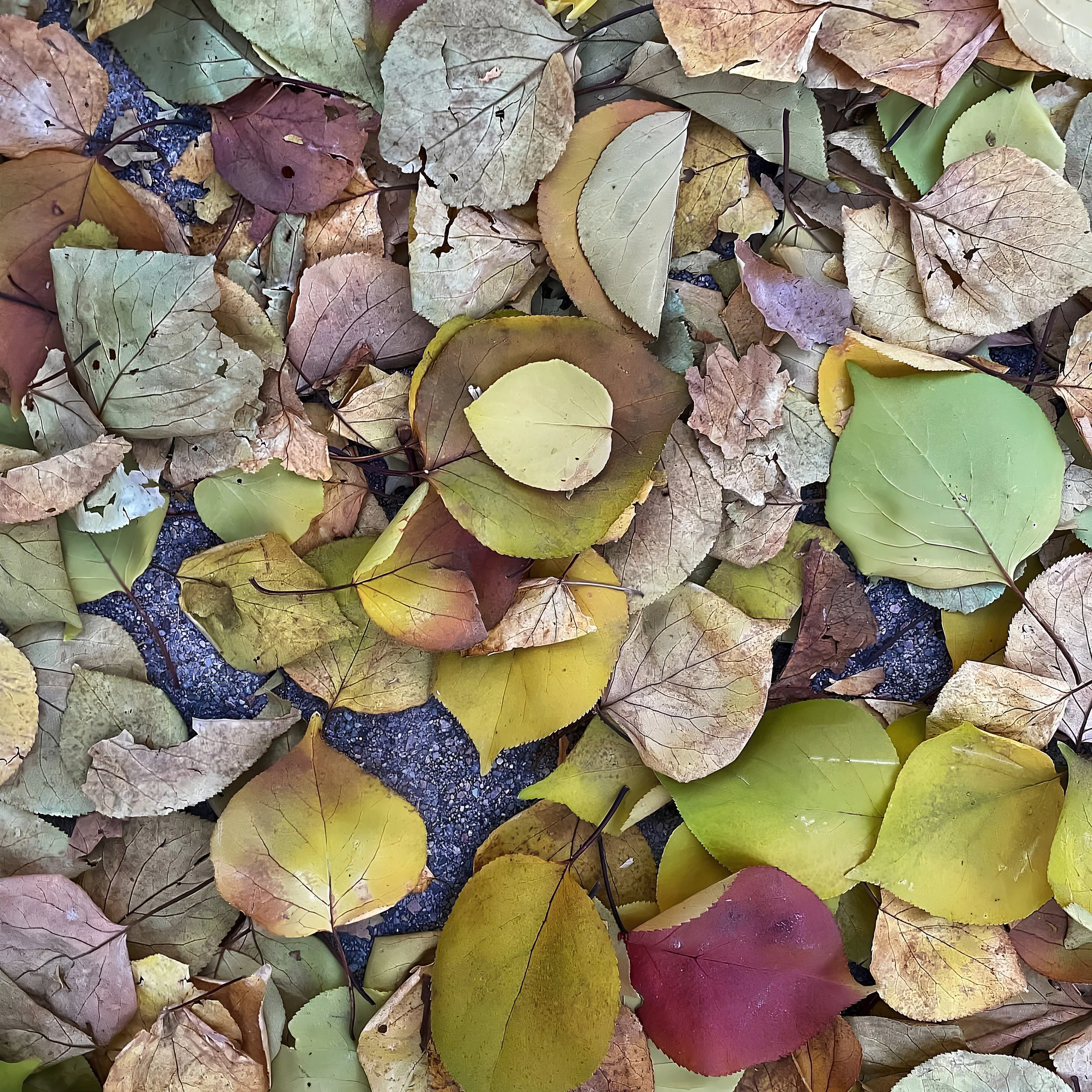 Autumn Leaf Cradle.jpg