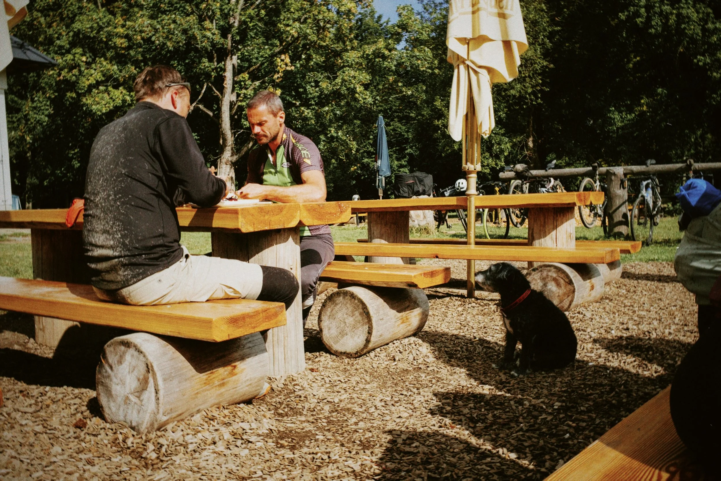 dblack 2025-11-15 165624.899.JPG