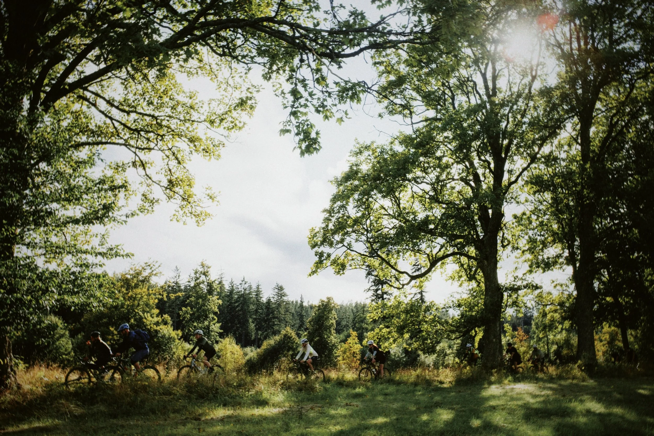 dblack 2025-11-15 165634.558.JPG