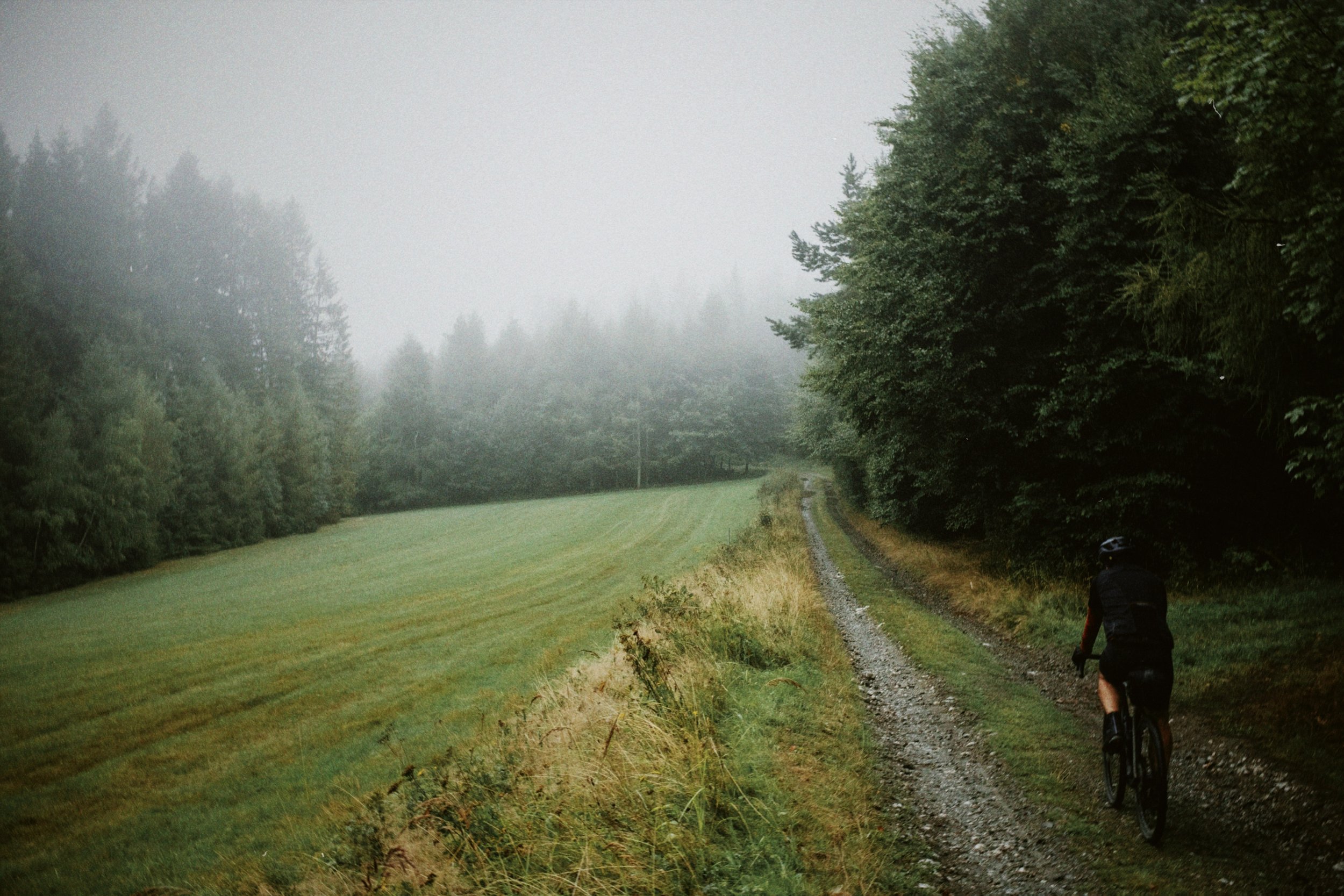 dblack 2025-11-15 165704.779.JPG