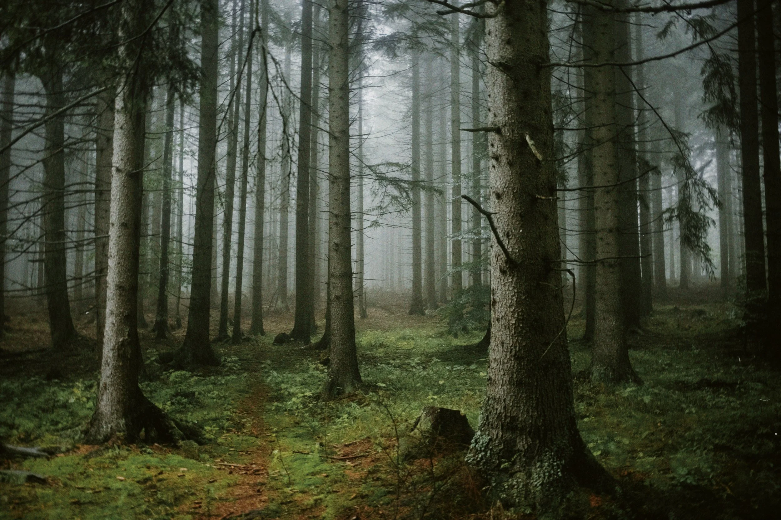 dblack 2025-11-15 165715.481.JPG