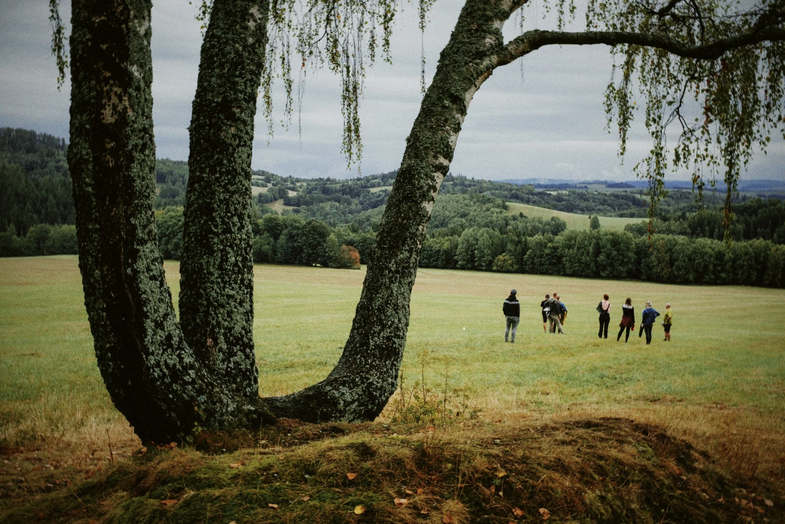 dblack 2025-11-15 165724.349.JPG