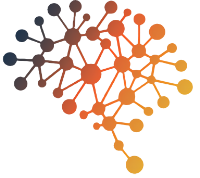 The Reticular Formation