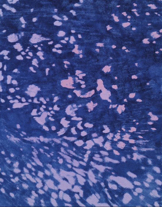 Screen Shot 2023-09-01 at 2.42.35 PM.png