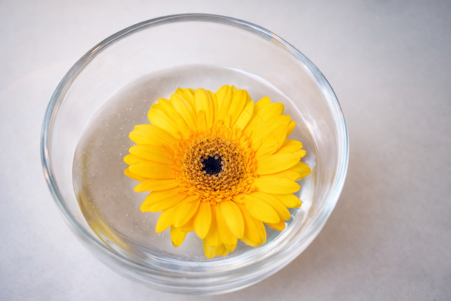 Awaken &amp; Align - Return To Balance With The Spring Equinox Experience