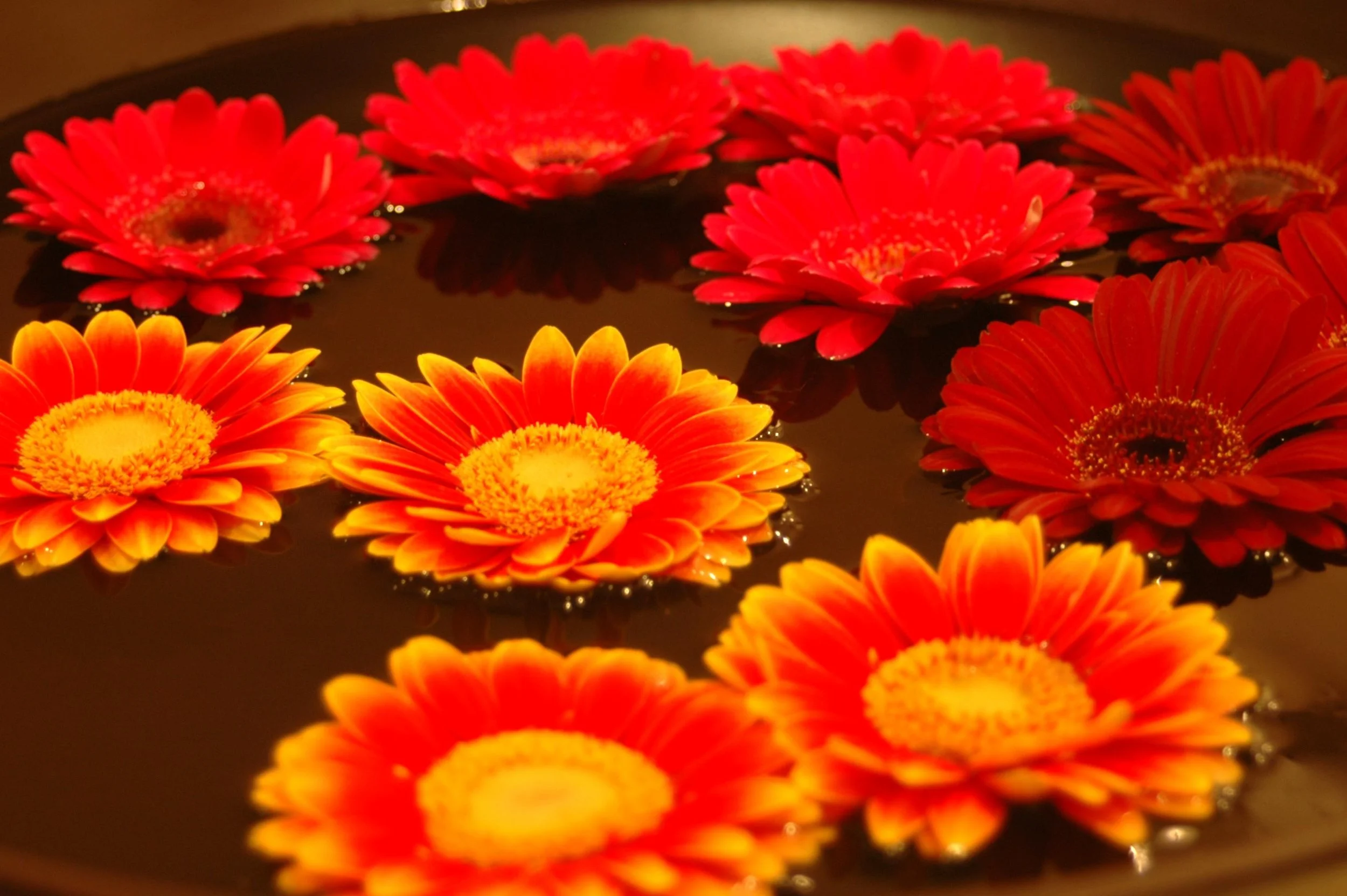 International Women’s Day: The Art of Being Her