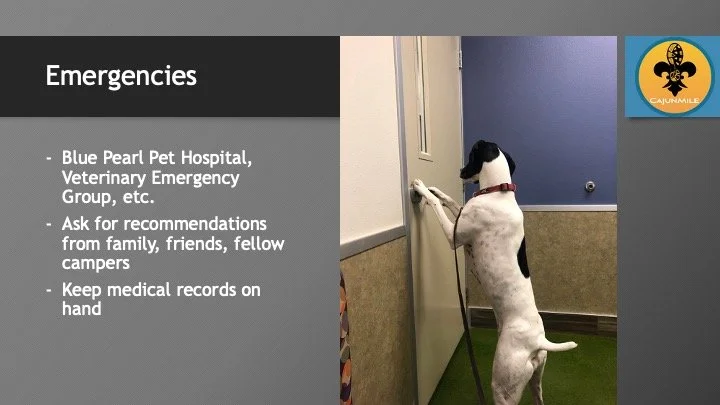 Slide15.jpeg