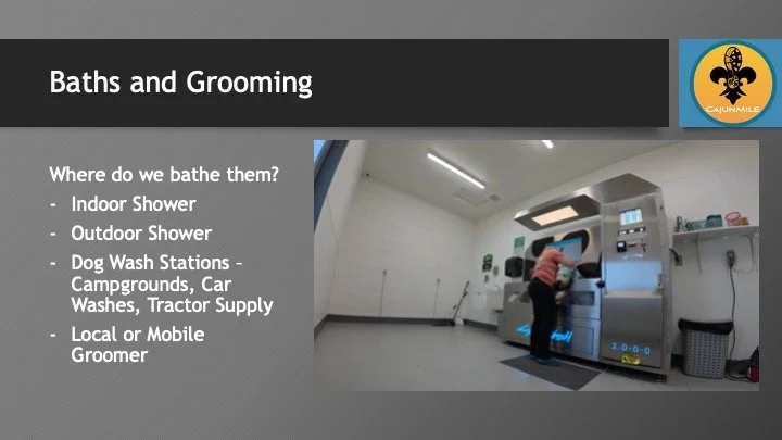 Slide7.jpeg