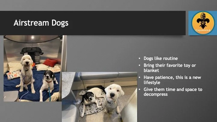Slide4.jpeg