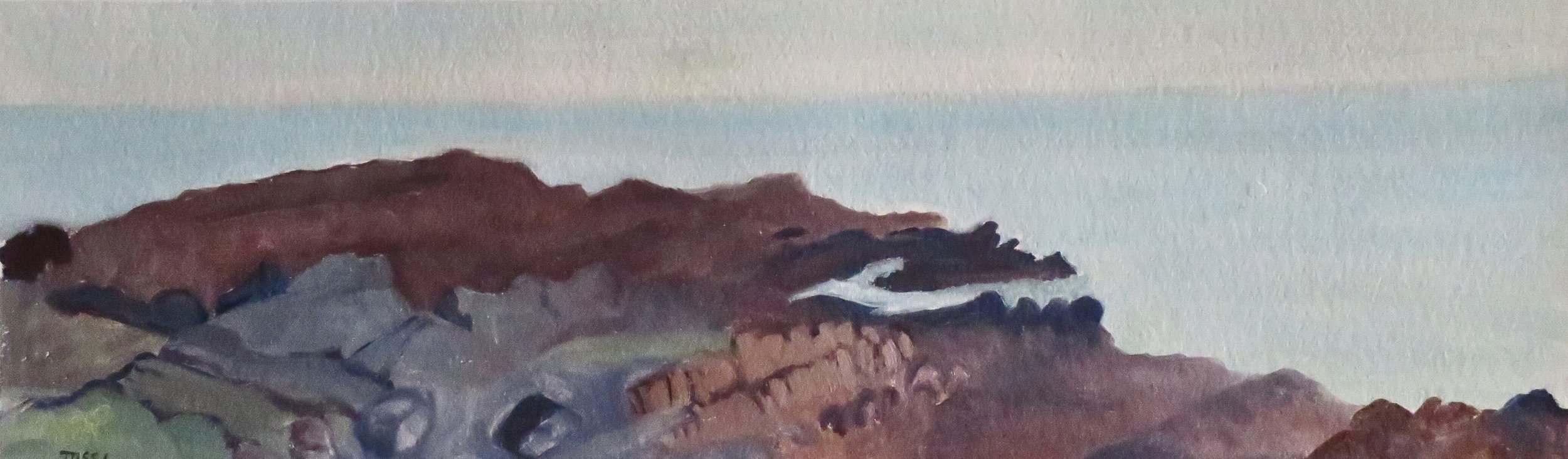OVERVIEW, CAPE ST. MARY
6 3/4" h x 21 3/4" w; oil on gessoed paper; 2025