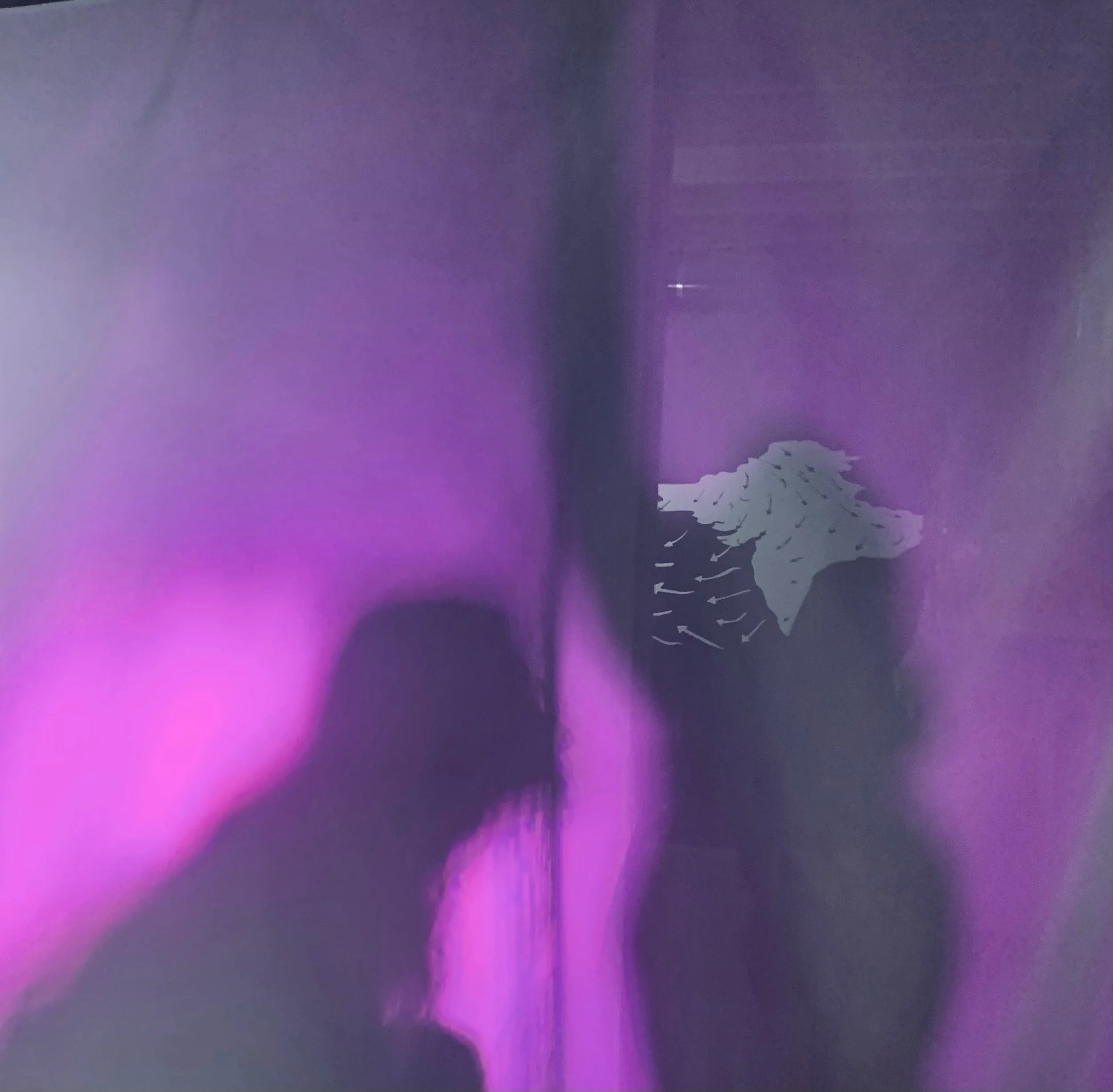 Olfactory Readings by Susan Barbour