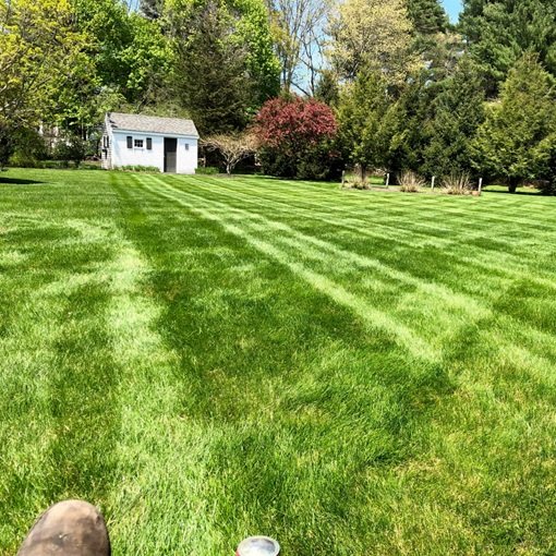 Spring is here and lawn care is right around the corner.