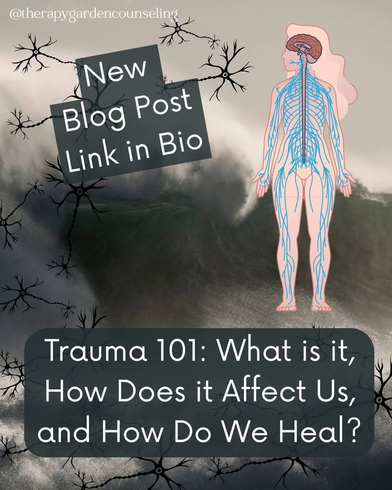 As a therapist that specializes in relational trauma, I get a lot of questions from folks about what trauma really is and how it impacts mental health. In this post, I broke down some basics on the definition of trauma, types of trauma, intersectiona