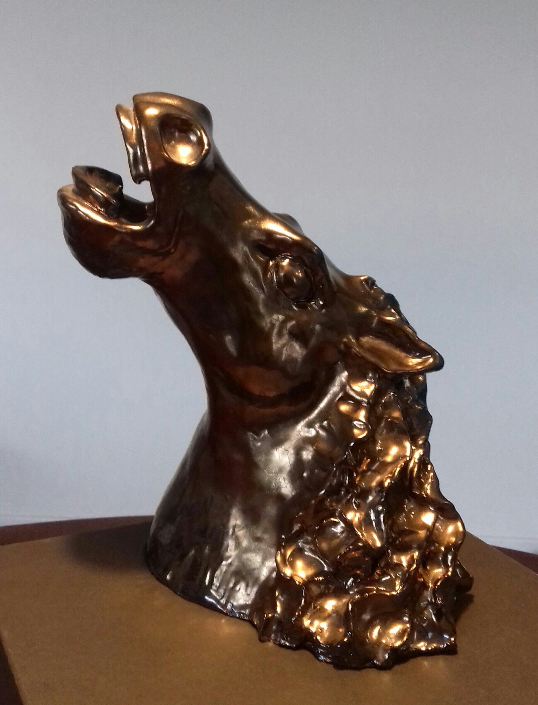 Testa di Cavallo - Terracotta smaltata - Collezione privata