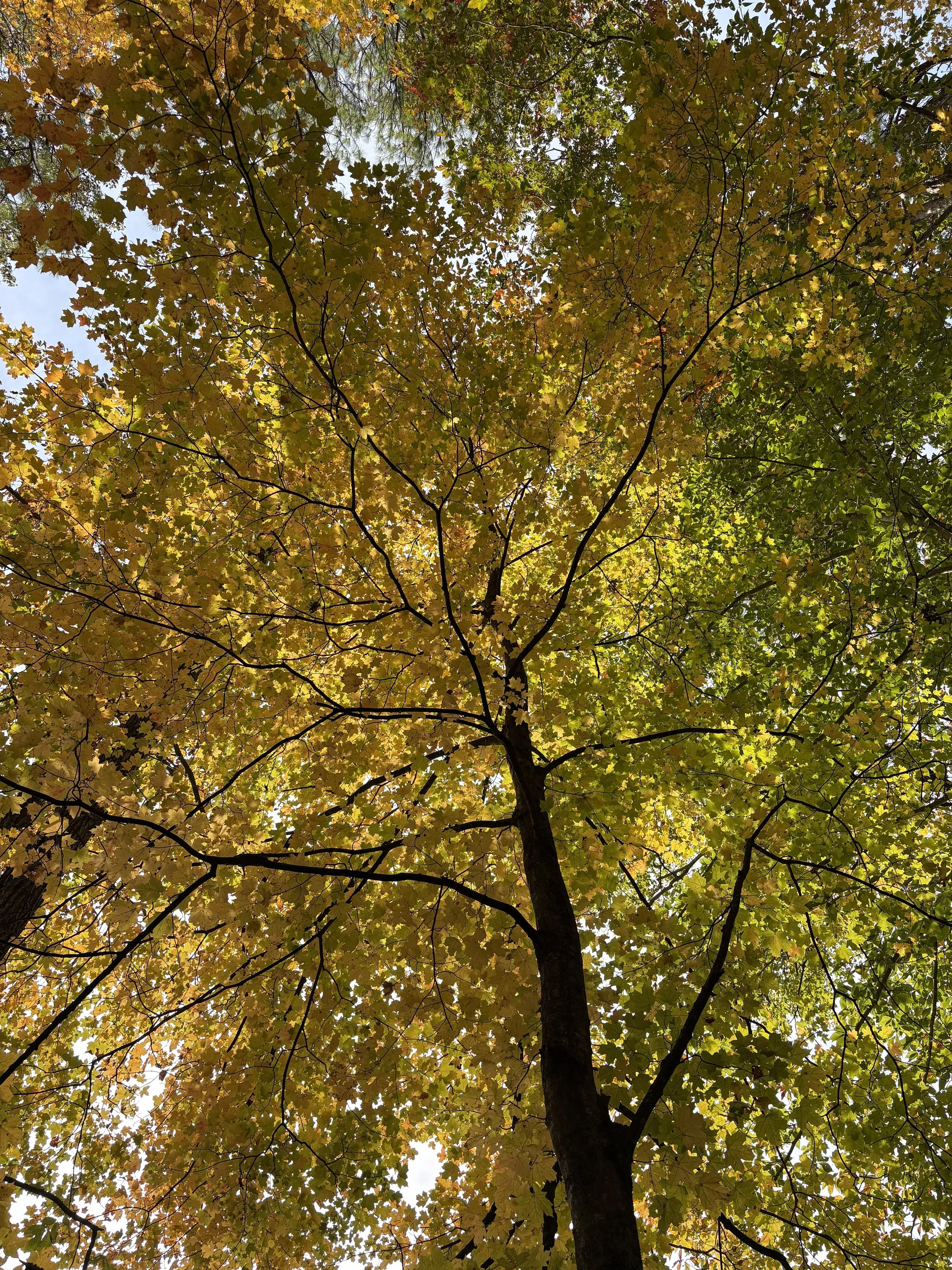 Women's Hiking Group Registration