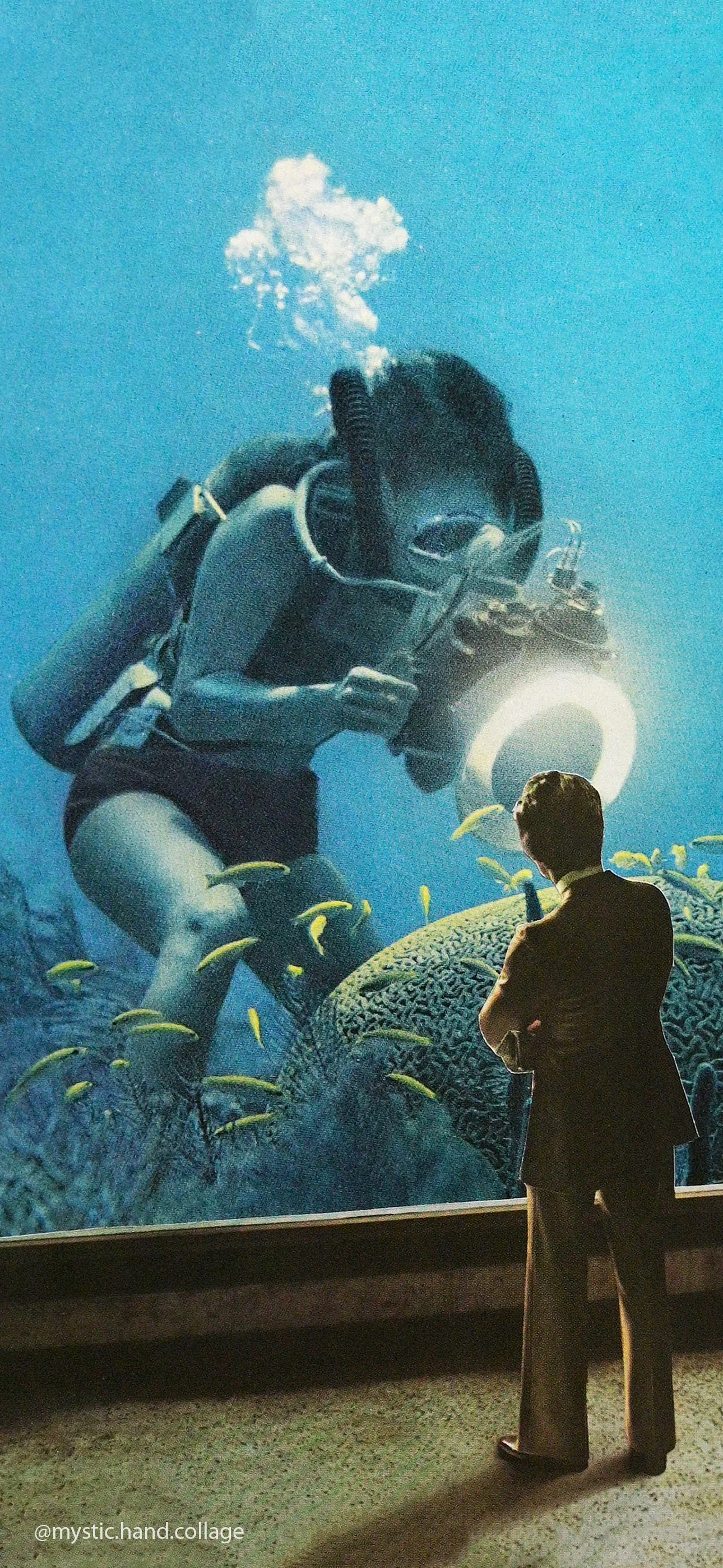 Aquarium Phone Wallpaper_MH.jpg