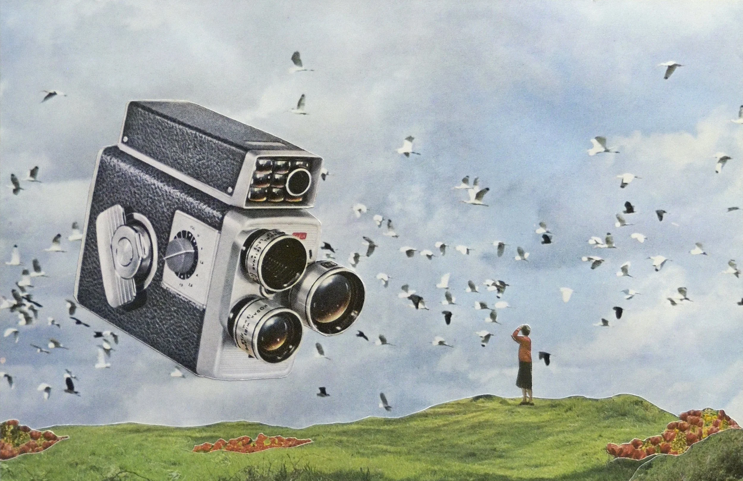 If They Fly They Spy_8.5x5.5.jpg