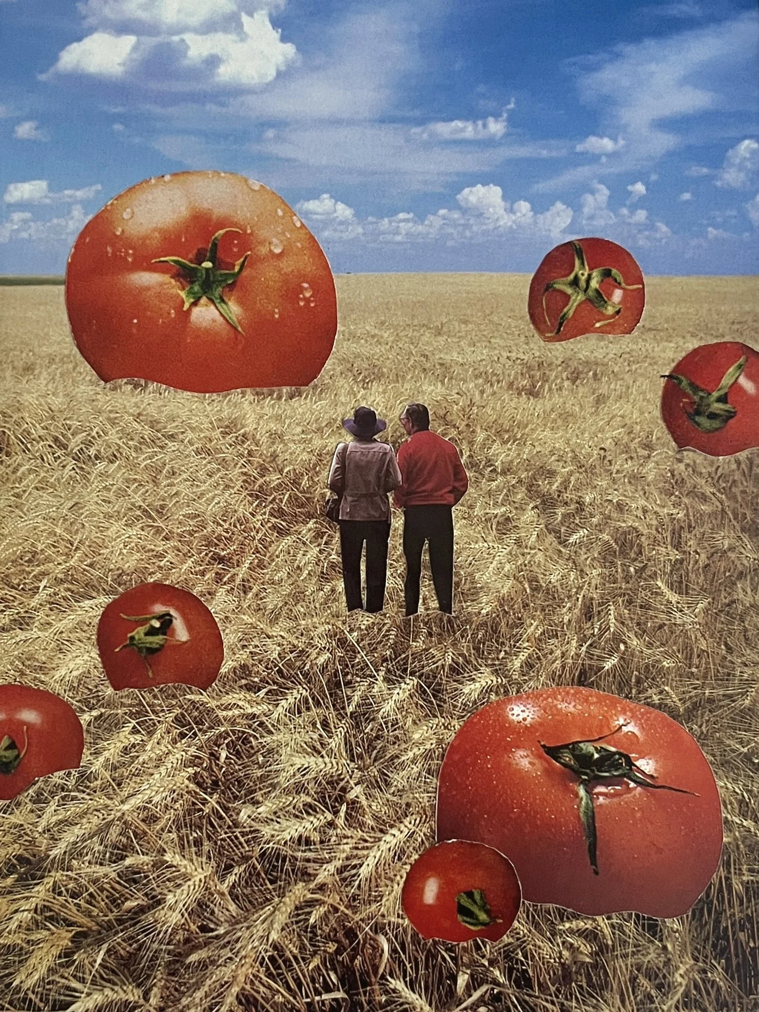 Tomato Collage_3x4.jpg