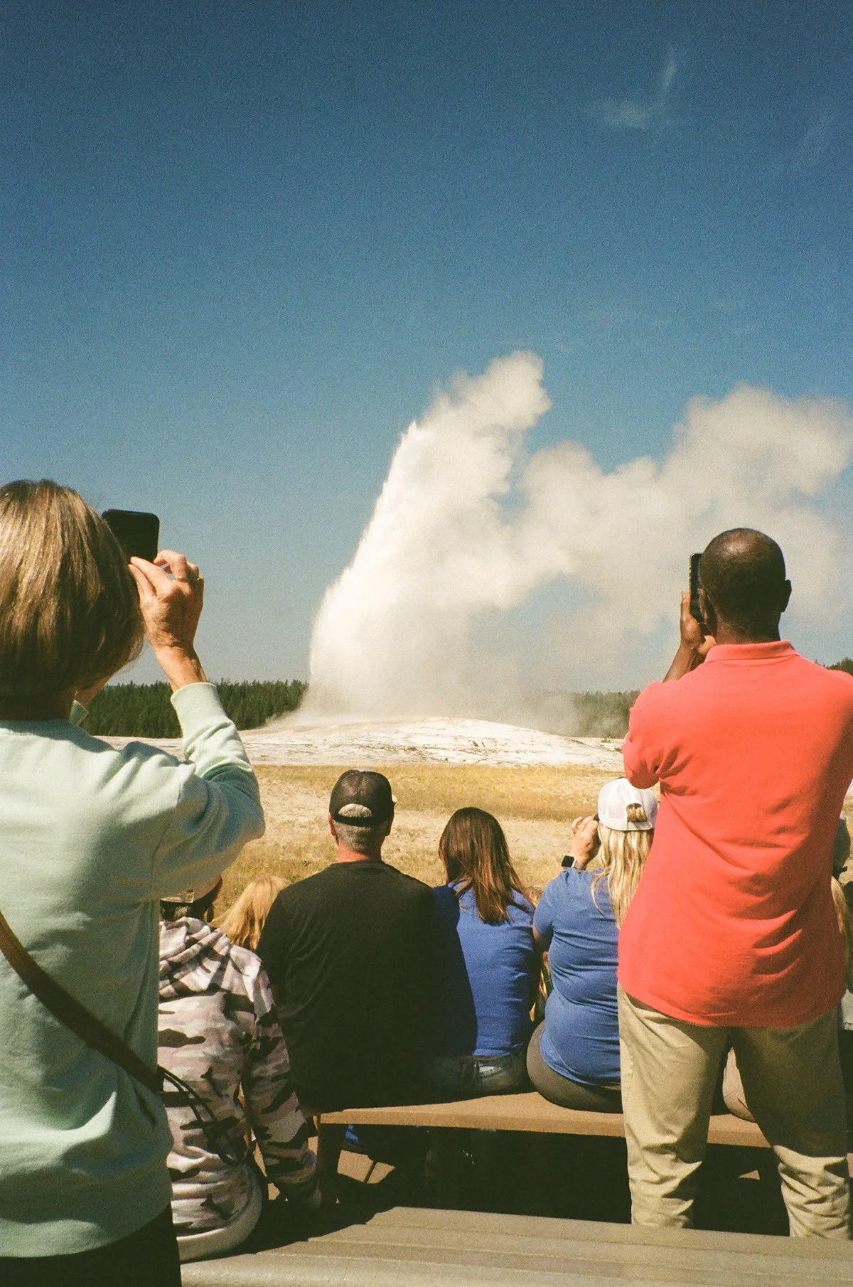 Sabrina_Simurdak_Old Faithful New Feed_12x18.jpg