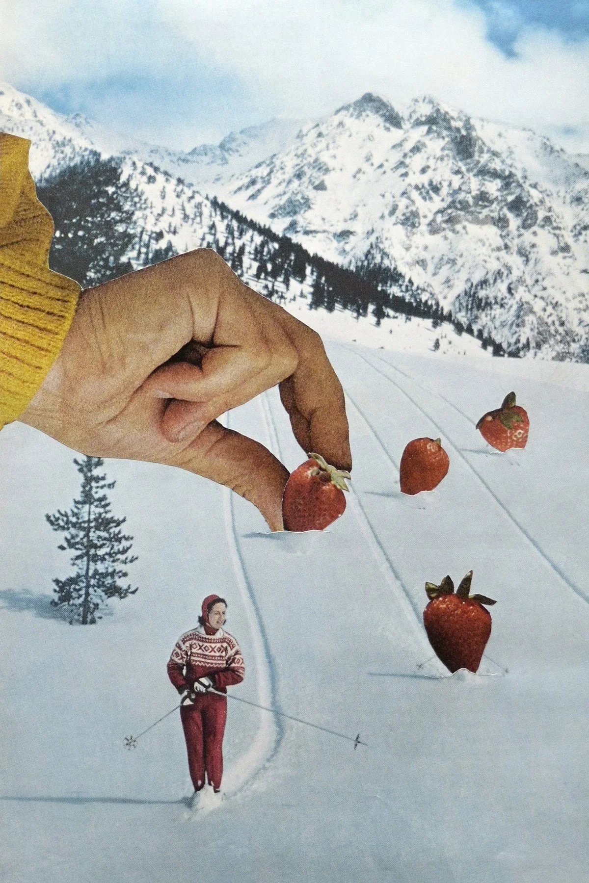 Frozen Strawberries_4x6_300ppi.jpg