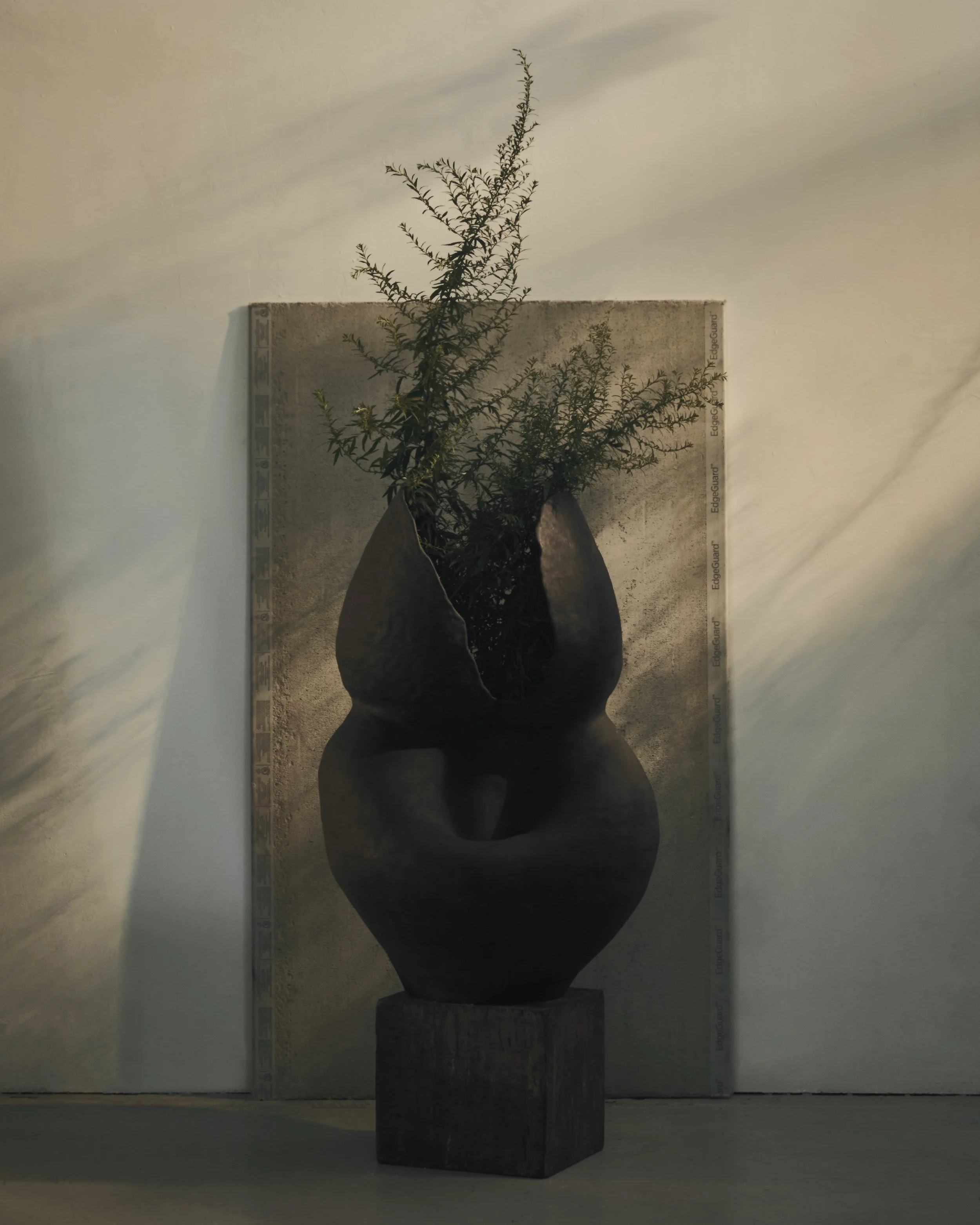 Photos Nayquan Shuler