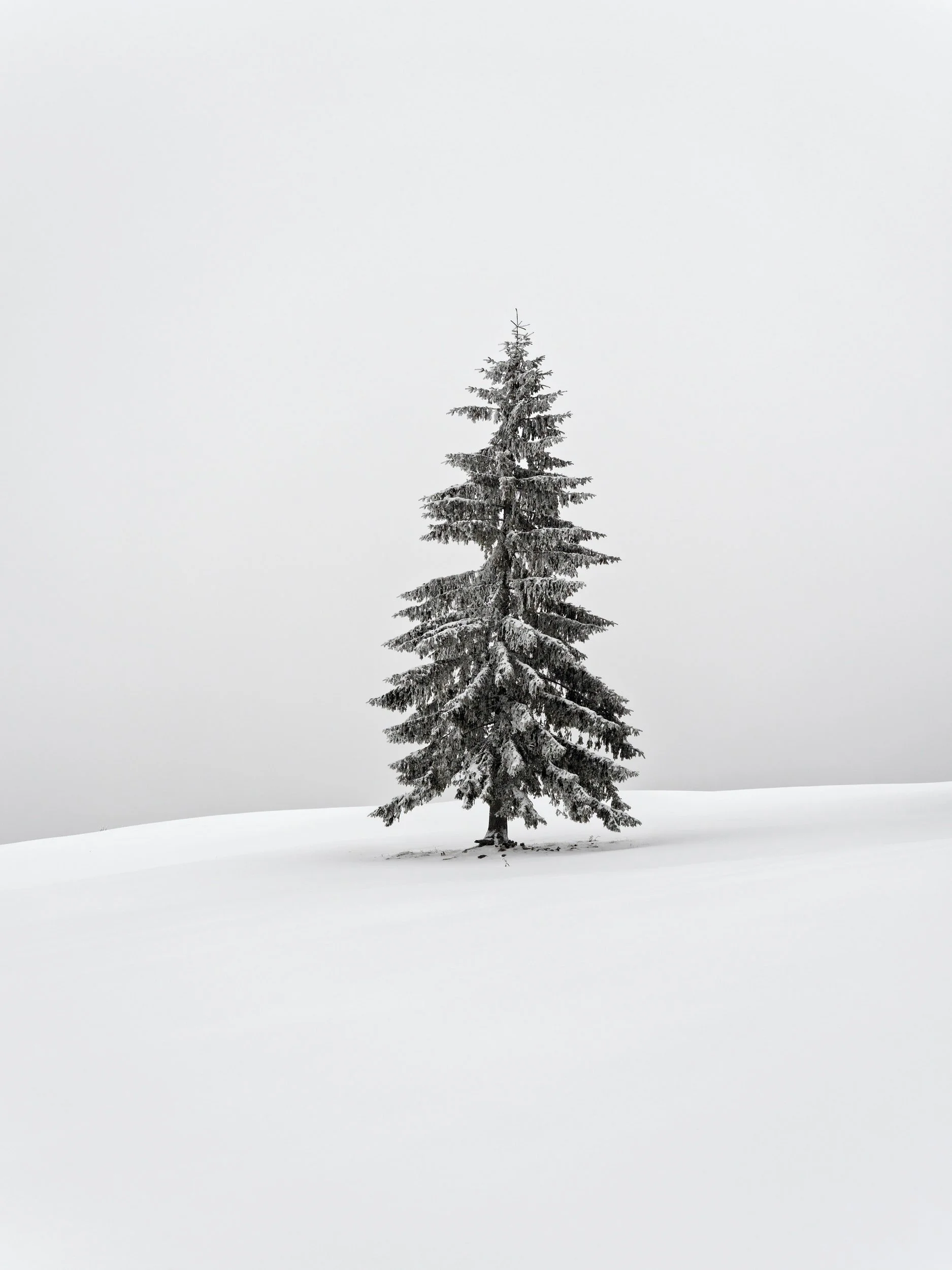 unsplash-image-QdYy-EcUTjA.jpg