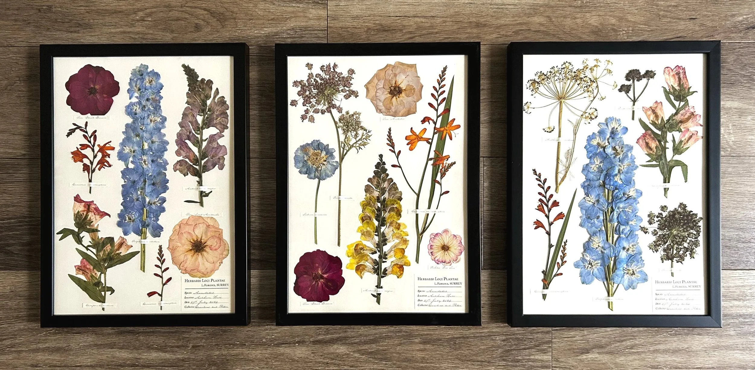 3 x A3s (with hand-stained antique-white backing)