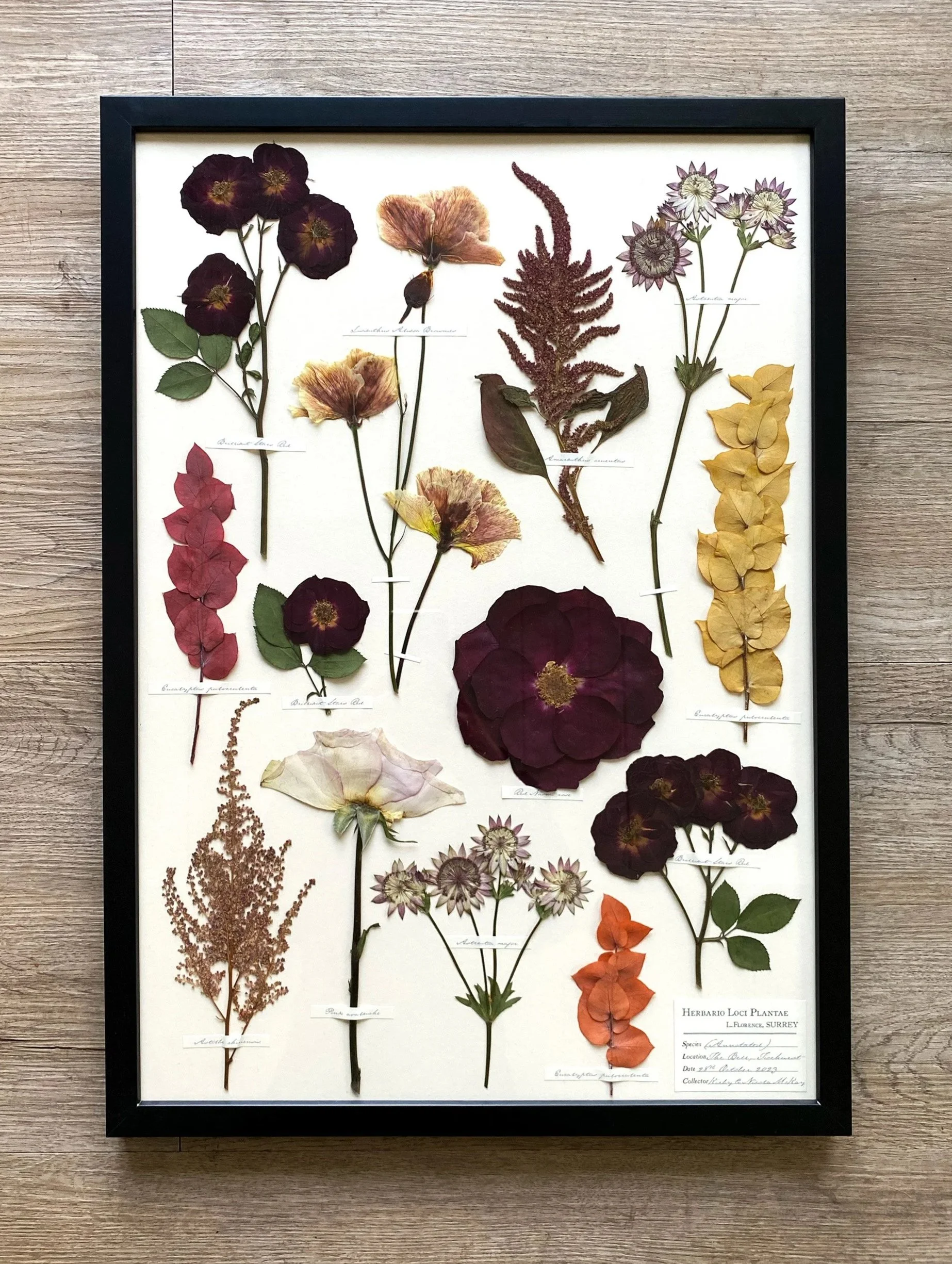 A2 (with hand-stained antique-white backing)