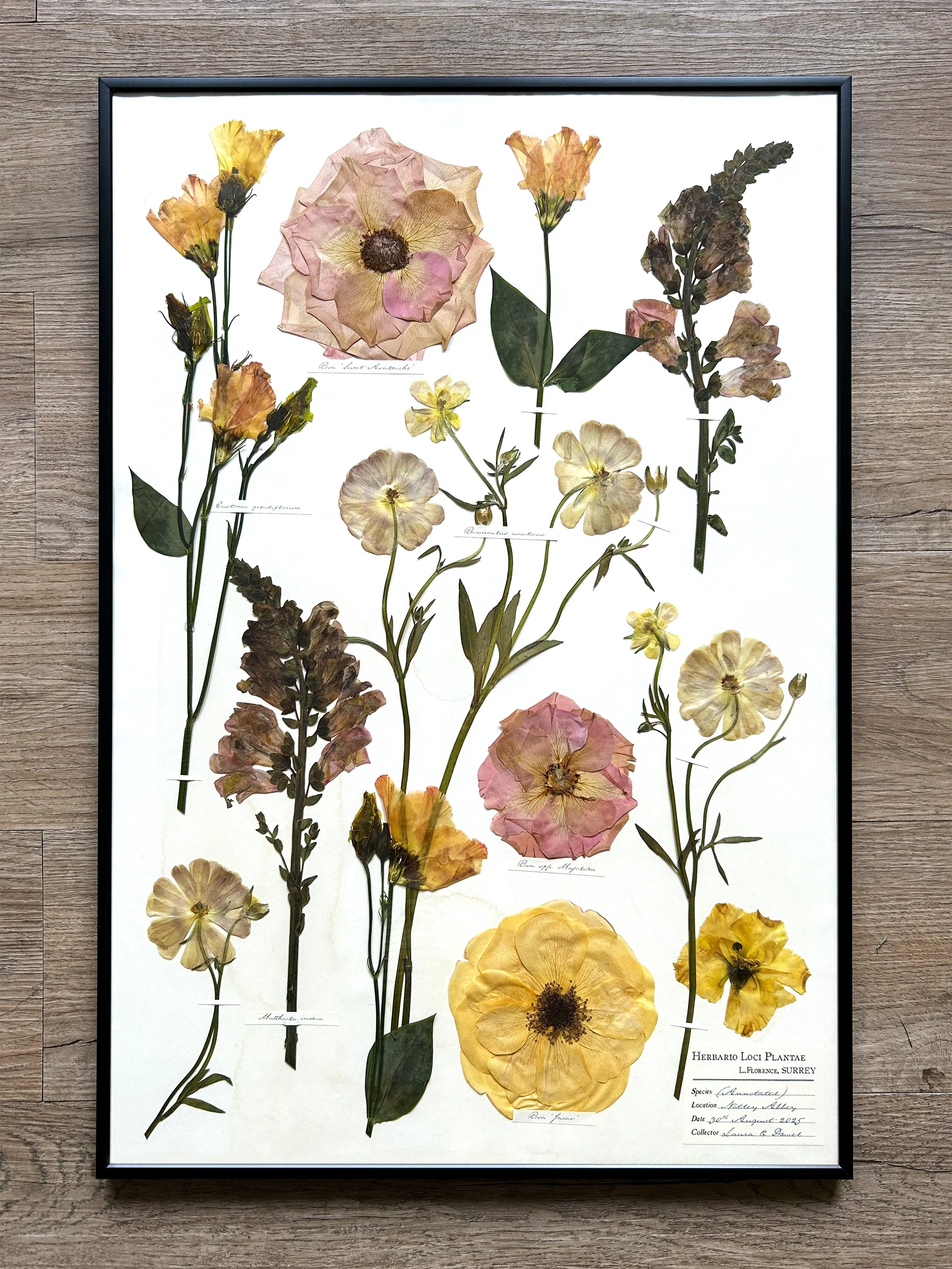 A2 (with hand-stained antique-white backing)