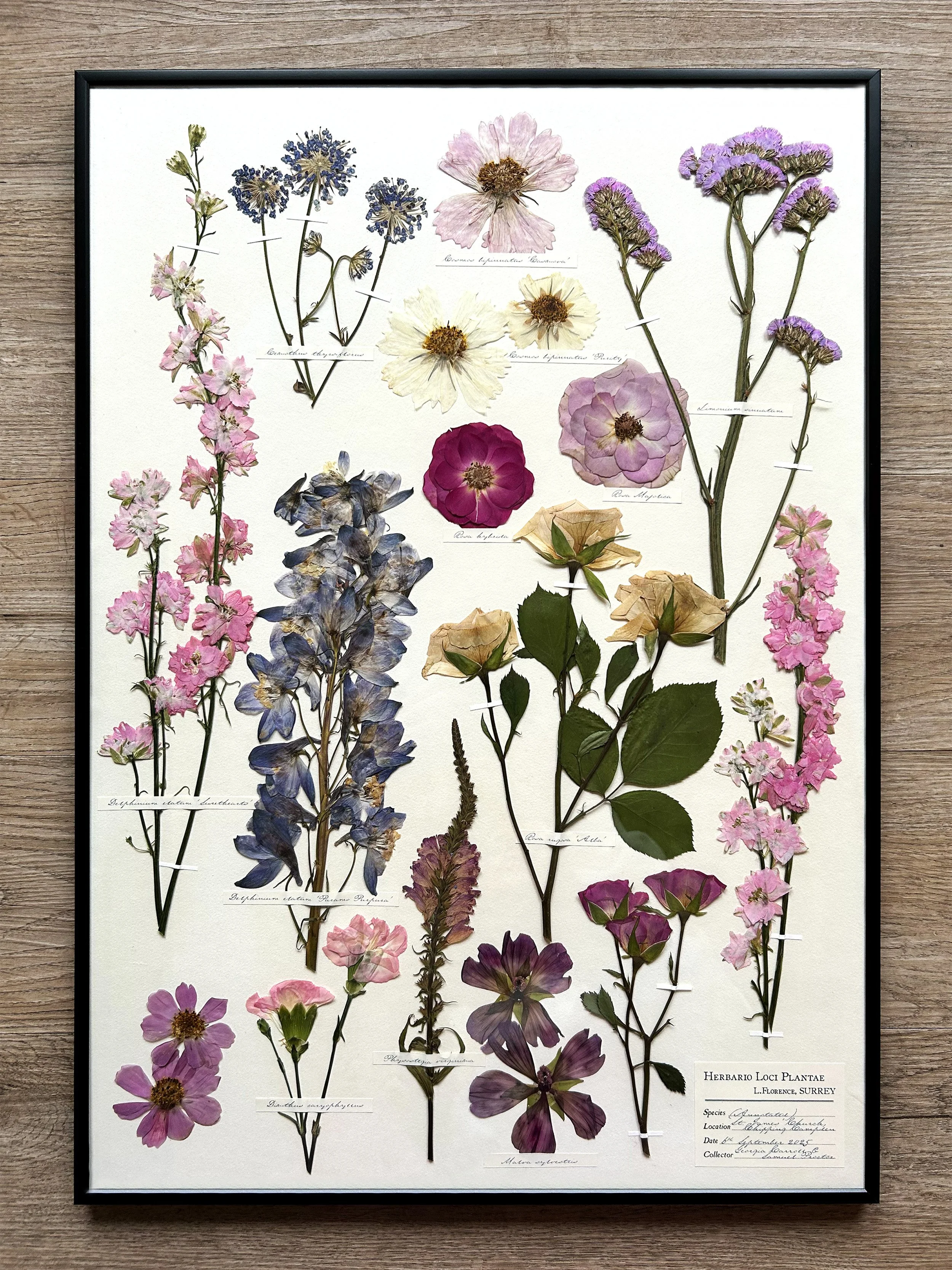 A2 (with hand-stained antique-white backing)